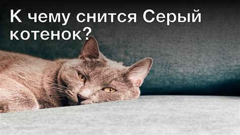 К чему снится серый цвет